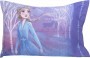 Disney Frozen II Traveling North 2 Piece Bed Sheet Set